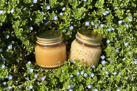 Unzen Pure Honey【にほんみつばちのはちみつ】