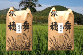new 自然栽培歴10年以上　22年度産　おいしい玄米10ｋｇ　昔の品種：朝日米