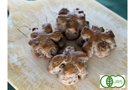 全部有機！Singleパン㉕：麦の栽培から一貫生産　自然栽培有機小麦の有機くるみパン4個【定期会員様へおすすめ】