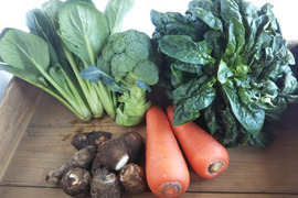 食べきり野菜３袋ずつセット　旬の無農薬野菜
４～５品目