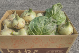 クール便《数量限定》淡路島産の甘くて美味しい新玉ねぎ5kg とグリーンボール詰め合わせ