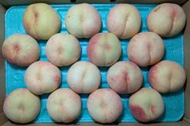 桃あかつき5㎏家庭用