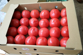 【王様トマト】有機質肥料で作った完熟トマト　4kg　24玉〜28玉入り