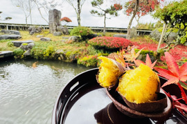 2ヶ月熟成 あまはづきの石焼き芋 1kg