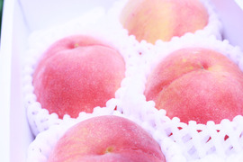 ７月下旬予約【極甘！まるでマンゴー】【糖度１５度以上保証】サンつきあかり桃 約600g4-5玉前後