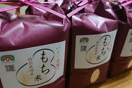 愛知県産　もち米「特別栽培米」　4.5kg