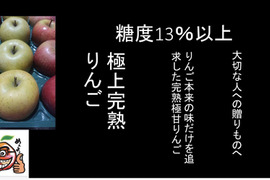 青森県弘前市産りんご 『匠の味』 「糖度１３%以上保証」 蜜入り完熟葉とらずサンふじ、王林ミックス約３kg11個入り