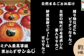 青森県産りんご「大人気」完熟大玉プレミアム葉とらずさんふじ自然味約３kg糖度１３%以上 ※今月で完全終了となります。