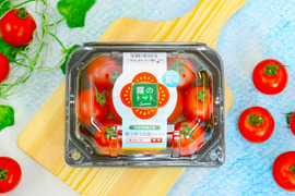 夏でも美味しいフルーツトマト｜霧のトマトsummer  200g×4パック