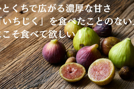 THE FIG ～皮ごと食べれるいちじく～