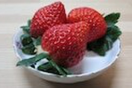 長瀞のあまりん☆サイズお任せ　　　約220～240g×２パック