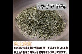 ＊農薬不使用お茶　【王道の日本茶!】爽やかな風味とスッキリとした苦味！ 特上煎茶　茶葉　Lサイズ　240g　化学肥料・除草剤・畜産堆肥不使用　宇治茶100%