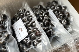 食べ比べセット中・大ミックス十三湖産大和しじみ2kg