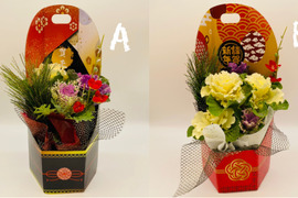 葉牡丹　迎春クラフトBOX  六花(りっか）　選べる２種類あり