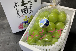 予約開始【夏ギフト】【お中元】【御供え】岡山県産シャインマスカット　贈答用化粧箱　800g前後一房入り簡易熨斗対応可能　　※7月中旬〜8月10日まで期間限定※