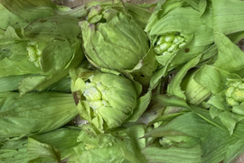 【予約販売：春山の恵み】新潟の天然ふきのとう200g