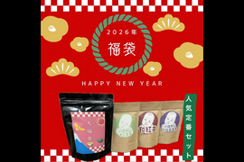 ＊1月5日まで＊【福袋】1年間の感謝を込めて！2026年福袋　定番ティーバッグ　大福茶20個　深蒸しかぶせ茶、和紅茶、焙煎ほうじ玄米茶　各15個入り　農薬・化学肥料・除草剤・畜産堆肥不使用