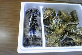 【生食可能】今が旬！生牡蠣　殻付き2キロ　剥き身500g