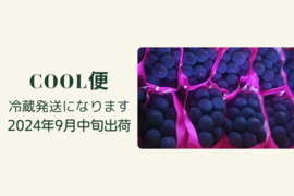 【紫黒色の宝石】【最高峰牧丘の巨峰】【先行予約】1kg【2024年9月中旬発送】