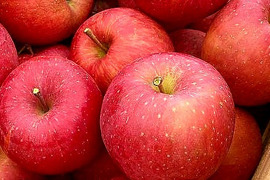 福島の美味しい林檎　サンふじ3ｋｇ（8～12玉）　訳あり家庭用りんご