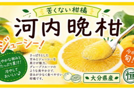 苦くない柑橘　河内晩柑（かわちばんかん）