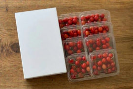 【予約】さくらんぼ食べ比べセット1.6kg 7月初旬～中旬発送