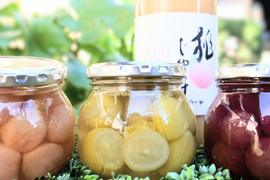 桃ジュース・3種のぶどうコンポート詰め合わせ〜SUGAOブランド〜