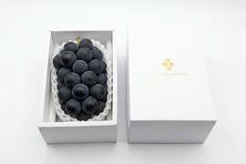 【プレミアム贈答】ナガノパープル１房（合計約500g）長野県認証/特別栽培同基準（信州の環境にやさしい農産物認証50）【2026年秋】