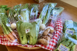 【自然栽培🍀固定種80サイズ】朝採り新鮮！旬菜セットM（３〜５人様向け）