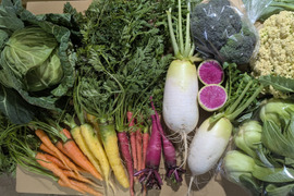 ❄☃️５品冬の野菜セット☃️❄