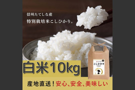 【R７年産】特別価格！信州たてしな産コシヒカリ白米5kg×2袋　特別栽培米！