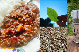 ブルーベリー葉のハーブソルトとケールのヘルシーカレー