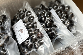 定期便がおとく！十三湖産「大和しじみ」中サイズ2kg