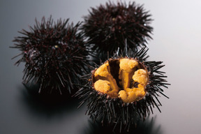 洋野うに牧場の殻付きつぼ抜きうに5個入/ケース