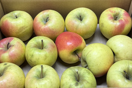 ★残りわずか★【訳あり・バラ詰め・大小込み】ぐんま名月💛約2.7Kg🍏青森県産　数量限定