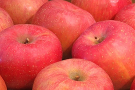 サンふじ徳用（１０㎏）26～40玉
１月から販売の徳用りんご　若干家庭用を含みお得になっています