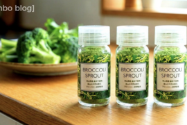 ブロッコリースプラウトパウダー　スパイスボトル入り（10g）×３本セット