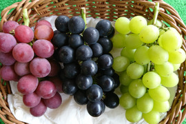 ✨🍇第一弾　2024ぶどう3種食べ比べセット🍇✨
　　　紅伊豆　・　ハニービーナス　・　巨峰
【ご家庭用・中房各１房入・計約1.3㌔位入】