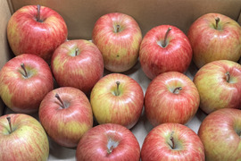 ★在庫限り★【訳あり・バラ詰め】まさゆめ🍎約2.7Kg　在庫限り　ふじの子供　希少品種　新品種　果汁たっぷり　流行の先取り　青森県産　数量限定