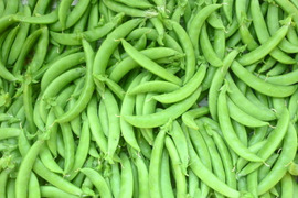 う～ん甘い！スナップエンドウ
       ＊500ｇ～農薬/化学肥料・不使用