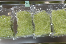 宮古島産　パパイヤしりしり・1,200g  ( 300g×4真空パック)