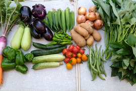 ギュッとお得用セットＭサイズ(約10品)