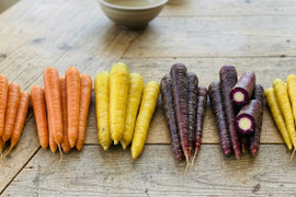 🥕味や香りの違いを楽しむ！旬のニンジン2種食べ比べセット約2kg｜全8品種から厳選｜根のみ｜農薬・化成肥料不使用🥕