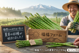 【今が旬！極上の夏芽】飯豊山の雪解け水が育んだ、朝どれ生アスパラガス1kg！