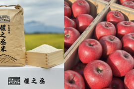 待望のセット商品！　權之丞米（白米）5kgとコスモふじ（家庭用）2kg（5〜10個入り）