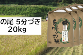【新米・2026年産】自然栽培のお米『亀の尾』5分づき20kg