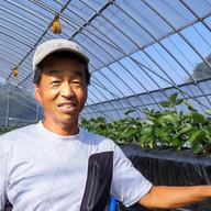 いちごハーブファーム泉南