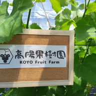 高陽果樹園