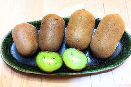 大阪産キウイ(香緑)　 ２kg　未追熟 M～Lサイズ 10〜16個 訳有り(平べったい形)の香緑 甘味特に強い品種 美容と健康にダブルサポート❕