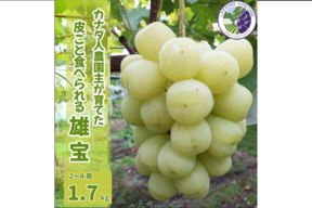 【カナダ人農園主の真心を込めた】皮ごと食べられる雄宝(ゆうほう)約２ｋｇ（ご家庭用）